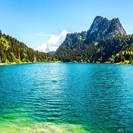 Un Moment De Detente Inoubliable Saillon-Les-Bain Dış mekan fotoğraf