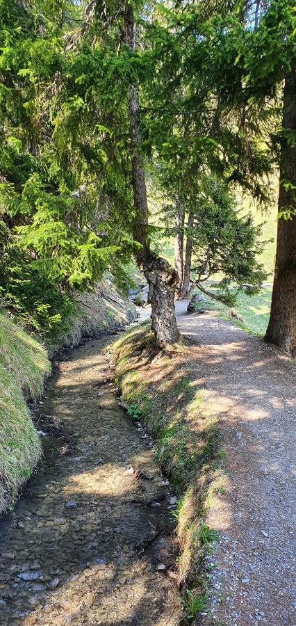 Un Moment De Detente Inoubliable Saillon-Les-Bain Dış mekan fotoğraf