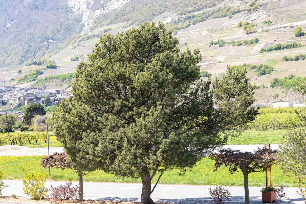 Un Moment De Detente Inoubliable Saillon-Les-Bain Dış mekan fotoğraf