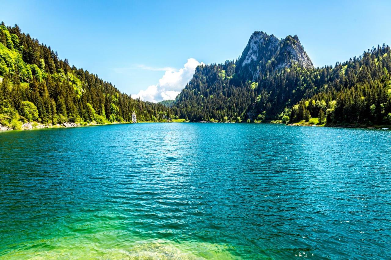 Un Moment De Detente Inoubliable Saillon-Les-Bain Dış mekan fotoğraf