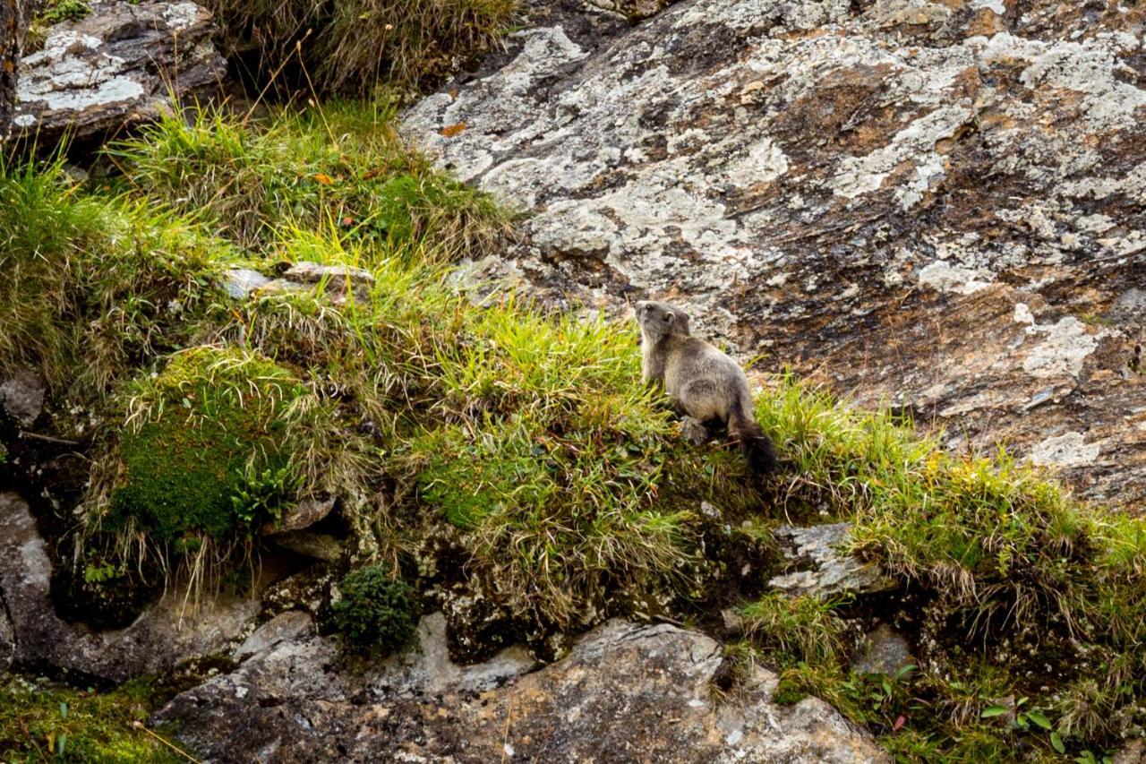 Un Moment De Detente Inoubliable Saillon-Les-Bain Dış mekan fotoğraf